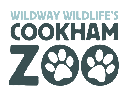 Wildway Wildlife Mini Zoo