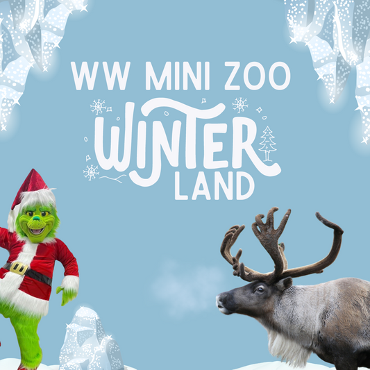 Cookham Zoo Winterland